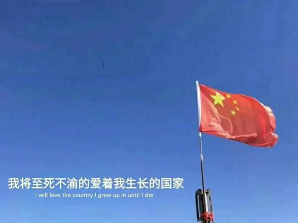 创作猫